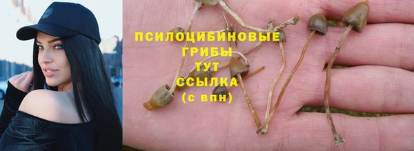 крисы Верхнеуральск