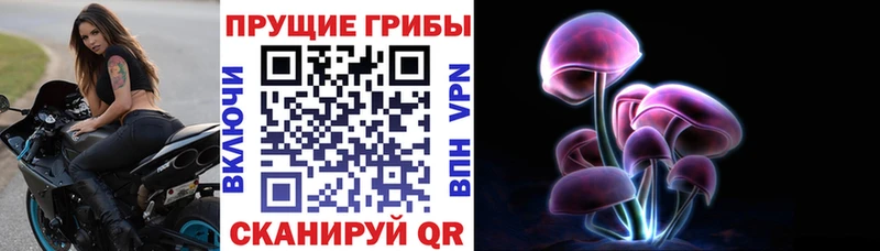 Псилоцибиновые грибы прущие грибы  Купить закладки  Сланцы 