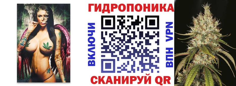 Марихуана план Купить Сланцы